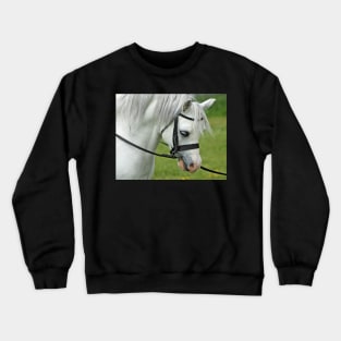 Welsh Mountain Pony Crewneck Sweatshirt